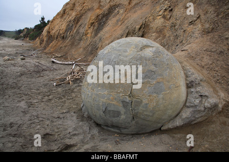 Rocher sur la plage à Moeraki, Nouvelle-Zélande Banque D'Images