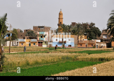 Nil Egypte agriculteur ferme domaine de l'agriculture Banque D'Images