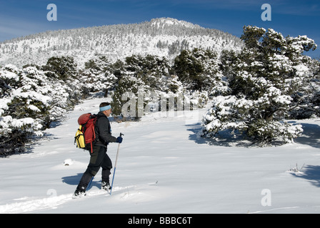 Mike Vining le ski nordique Agua Ramon retour à Rio Grande Comté Colorado USA Banque D'Images