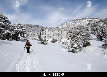 Mike Vining le ski nordique Agua Ramon retour à Rio Grande Comté Colorado USA Banque D'Images