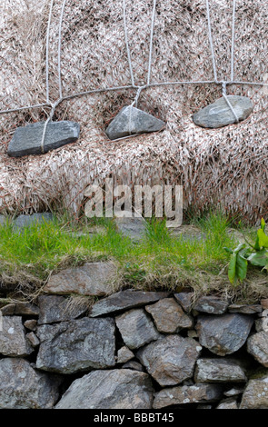 Chaume traditionnel blackhouse/s sur l'île de Lewis Gearrannan au village, Carloway, Western Isles, Ecosse Banque D'Images