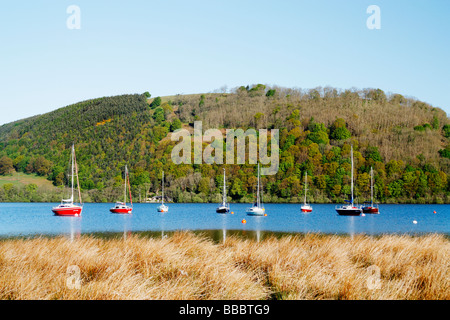 Yachts amarrés sur Ullswater près de Pooley Bridge dans le Lake District, England, UK Banque D'Images