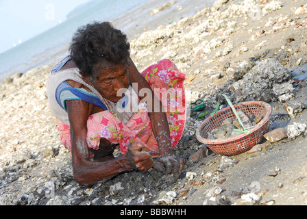 Vieille dame moken pierre fissuration de trouver sur la plage en face du village, Koh Khao, Ranong, Thaïlande du sud, Banque D'Images