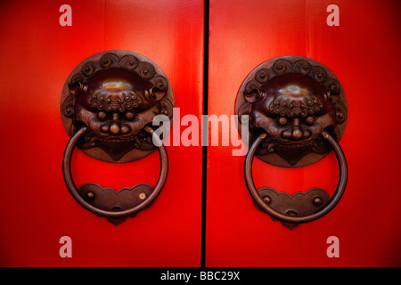 Paire de heurtoirs de porte tête de lion en laiton à temple Banque D'Images