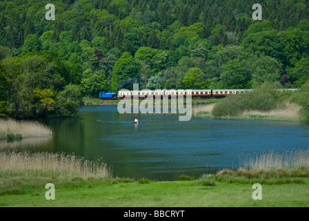 Train qui passait la rivière Leven au bord du lac & Haverthwaite que fer, Parc National de Lake District, Cumbria, Angleterre, Royaume-Uni Banque D'Images