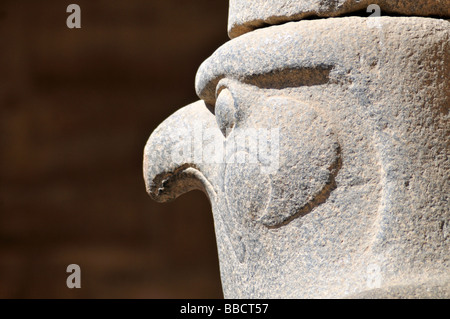 Statue de pèlerin dirigé dieu Horus à Edfou Temple culte ptolémaïque de l'Egypte Banque D'Images