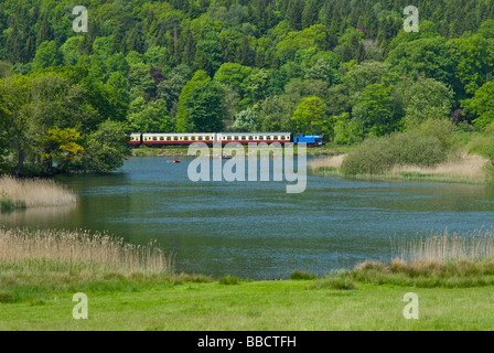 Train qui passait la rivière Leven au bord du lac & Haverthwaite que fer, Parc National de Lake District, Cumbria, Angleterre, Royaume-Uni Banque D'Images