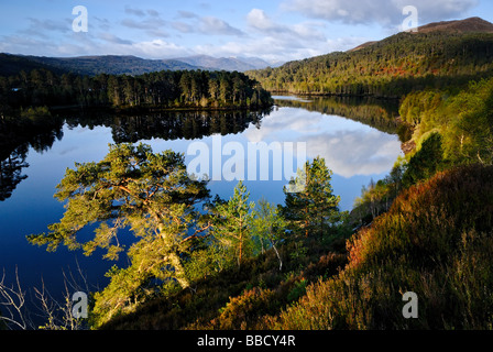 Glen Affric Lever du Soleil Banque D'Images