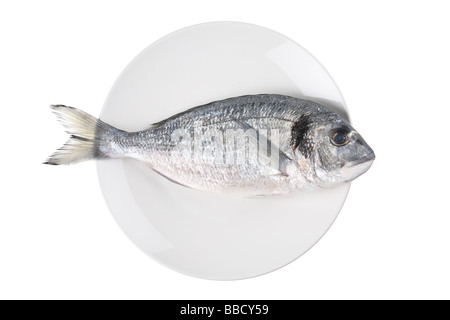 Les poissons crus (sparus auratus)sur une plaque isolés contre fond blanc Banque D'Images