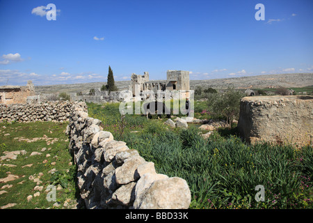 Aleppo Syrie Moyen Orient syrien vieille ville ancienne citadelle Asie religion Alépine musulmans sunnites, Gouvernorat de l'Islam arabe arabe Banque D'Images