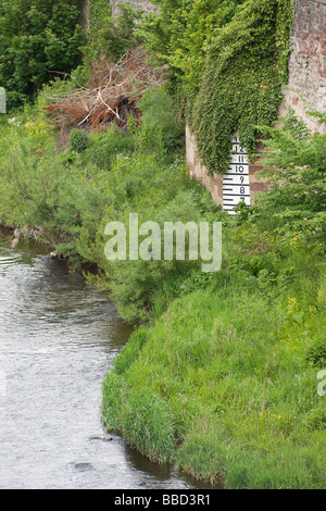 Marqueur de l'eau haute rivière Tweed Kelso Ecosse Banque D'Images