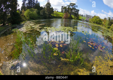 Powerscourt House and Gardens Enniskerry Comté de Wicklow Irlande Leinster Irlande République d'Irlande Europe EU Banque D'Images