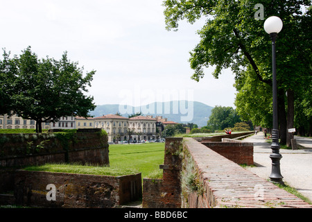 Une section de l'épais mur médiéval massivement qui entoure l'un des .LUCCA plus belles villes de Toscane, Banque D'Images