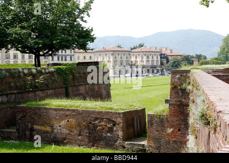 Une section de l'épais mur médiéval massivement qui entoure l'un des .LUCCA plus belles villes de Toscane,Italie. Banque D'Images