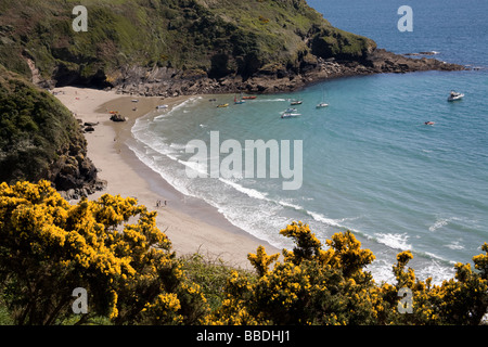 Lantic Bay Carrick Cornwall UK Banque D'Images