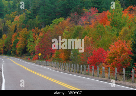 Route à travers le parc provincial Algonquin en automne, l'Ontario, Canada Banque D'Images