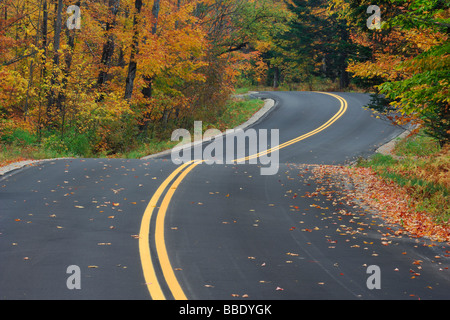 Route à travers forêt en automne, New York, USA Banque D'Images