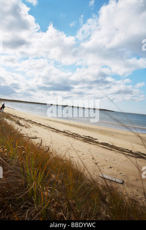 Refuge de Long Point, West Tisbury, Martha's Vineyard, Massachusetts, USA Banque D'Images