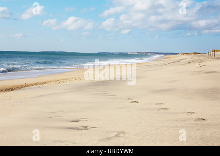 Refuge de Long Point, West Tisbury, Martha's Vineyard, Massachusetts, USA Banque D'Images