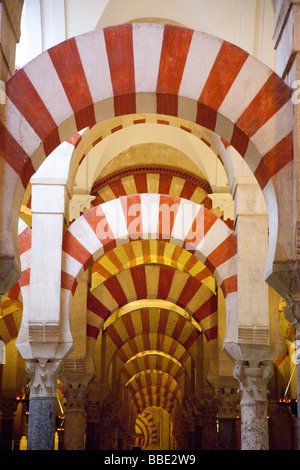 Arches à l'intérieur de la Mezquita de Cordoue Espagne Banque D'Images