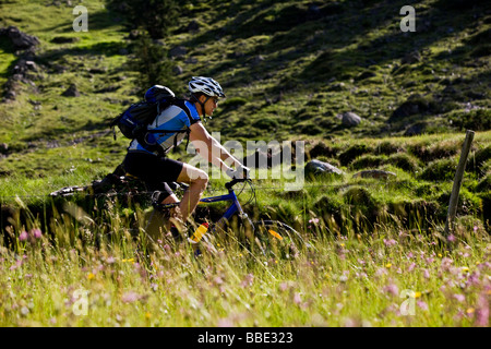 Mountain biker, Alpbachtal, Tyrol du Nord, l'Autriche, Europe Banque D'Images