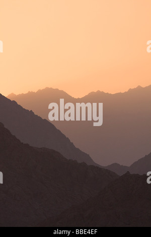 Silhouette de couches pendant que le soleil se couche derrière eux au crépuscule à Charm El Cheikh, Egypte, Nabq. Banque D'Images