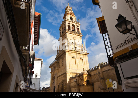 Toree del Alminar clocher de la Cathédrale de Cordoue et le Mezguita à Cordoue Espagne Banque D'Images