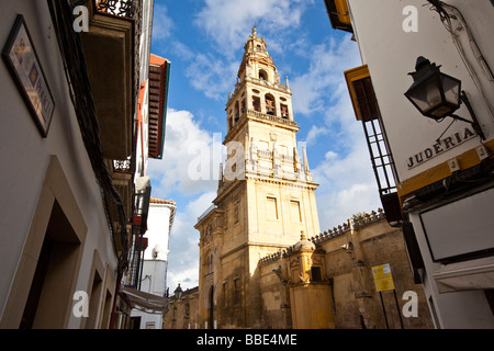 Toree del Alminar clocher de la Cathédrale de Cordoue et le Mezguita à Cordoue Espagne Banque D'Images