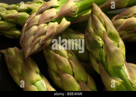 Les pointes d'asperges vertes (asperges) Banque D'Images