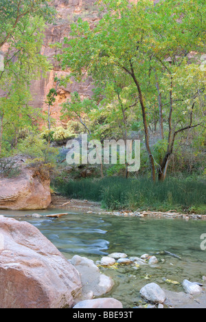 Près de la passe de la rivière vierge comme il coule à travers Zion Canyon National Park Utah Banque D'Images