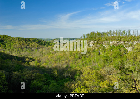 Great Gulf donnent sur la forêt nationale Daniel Boone dans le Kentucky Banque D'Images