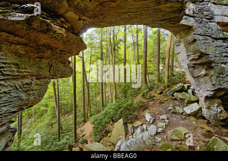 Split Bow Arch dans Big South Fork River National Recreation Area et South Carolina Banque D'Images
