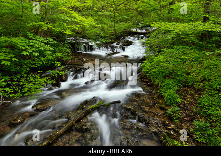 Cascade sur Meadow Creek Mill Spring Park près du lac Cumberland dans le comté de Wayne Pennsylvania Banque D'Images