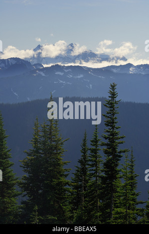 Le mont Olympe Vue d'Hurricane Ridge, Olympic National Park, Washington, USA Banque D'Images