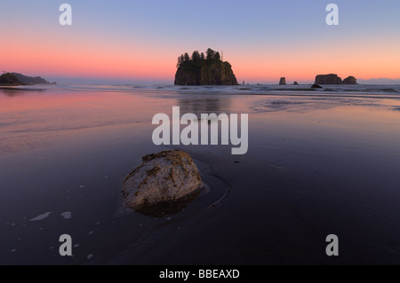 Deuxième plage, Olympic National Park, Washington, USA Banque D'Images