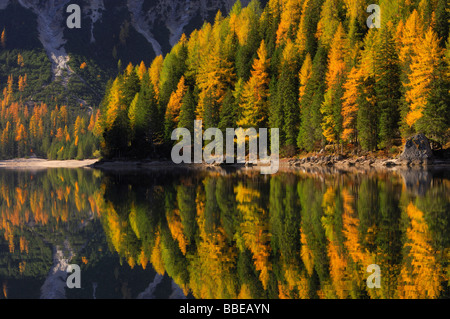 Lac de braies, Alpes, Fanes Fanes-Senes-Braies Parc Naturel, le Tyrol du Sud, Italie Banque D'Images