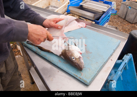 Un pêcheur local préparation des poissons capturés plus tôt, en vente à sa boutique store stall sur la plage à Aldeburgh, Suffolk, UK Banque D'Images