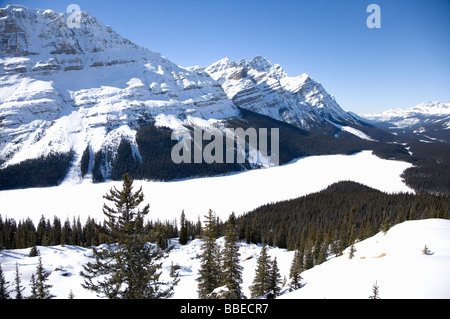 Le lac Peyto, Banff National Park, Rocheuses canadiennes, l'Alberta, Canada Banque D'Images