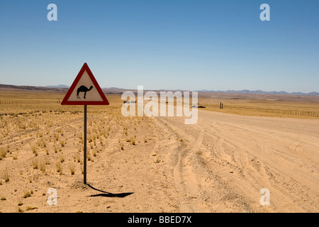 Camel Crossing Sign par route, Solitaire, en Namibie Banque D'Images