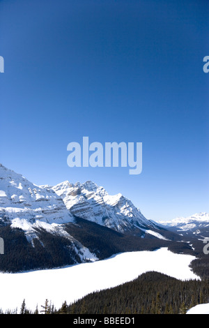 Le lac Peyto, Banff National Park, Alberta, Canada Banque D'Images