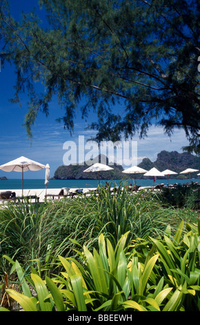 La Malaisie Kedah Langkawi Pantai Rhu beach à partir de jardins de Radisson Resort Hôtel avec invités sous les parasols de plage de sable blanc Banque D'Images