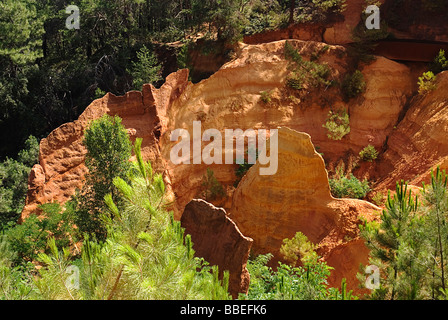 France, Provence-Alpes-Côte d'Azur, Vaucluse, sentier des ocres, des falaises d'ocres près du village de Roussillon. Banque D'Images