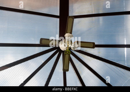 Ventilateur de plafond ventilateurs de refroidissement par temps froid chaud rester au frais de refroidissement l'été torride torride conservatoires conservatoire Banque D'Images
