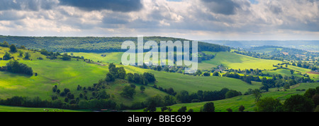 Vue panoramique à partir de Haresfield Oxlynch vers Beacon et Standish Park dans les collines des Cotswolds, Gloucestershire, Angleterre Banque D'Images