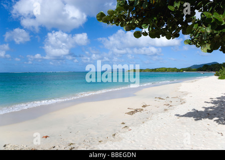 Antilles Caraïbes Grenade Carriacou Island une eau bleue se brisant sur la plage Paradise dans l'Esterre Bay avec Sandy Island Banque D'Images