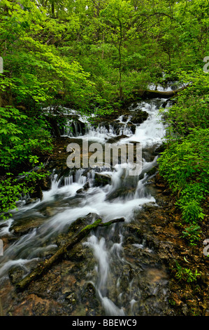 Cascade sur Meadow Creek Mill Spring Park près du lac Cumberland dans le comté de Wayne Pennsylvania Banque D'Images