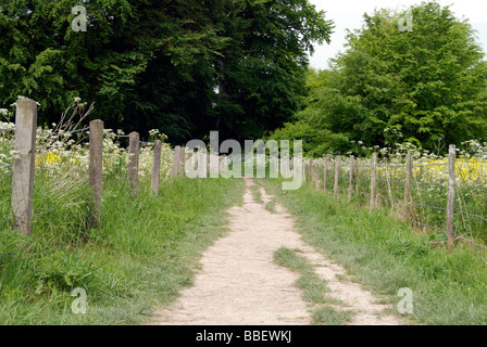 Le chemin menant à Waylands Smithy néolithique un long barrow à quelques mètres du sentier de longue distance Ridgeway Banque D'Images