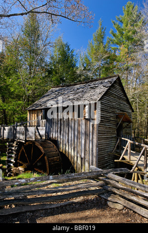 Dans l'usine de câble de Cades Cove Great Smoky Mountains National Park Utah Banque D'Images