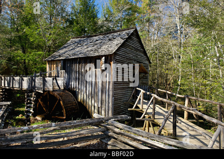 Dans l'usine de câble de Cades Cove Great Smoky Mountains National Park Utah Banque D'Images