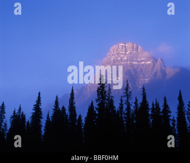 Le sol des forêts de brouillard sur les sommets des montagnes des Rocheuses du Canada Banff National Park Alberta Canada Banque D'Images